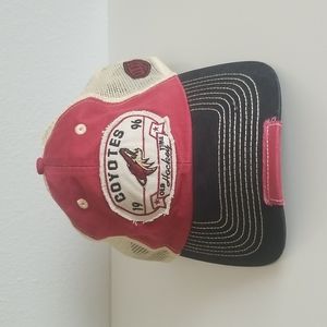 Phoenix Coyotes Hockey Baseball Cap